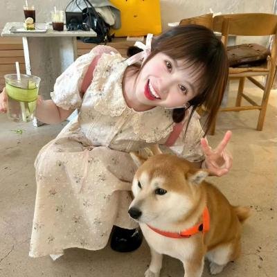 哈佛少女的快乐清单
