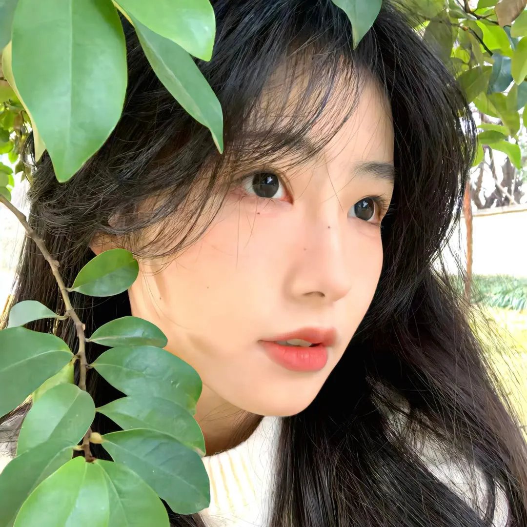 燃烧的天堂